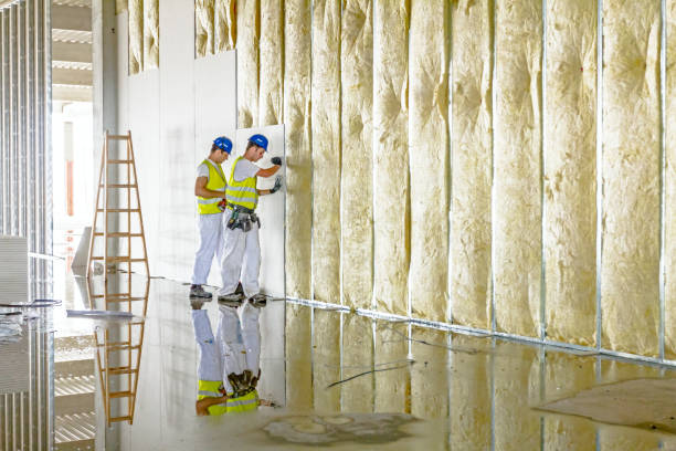 Types of Insulation We Offer in AZ